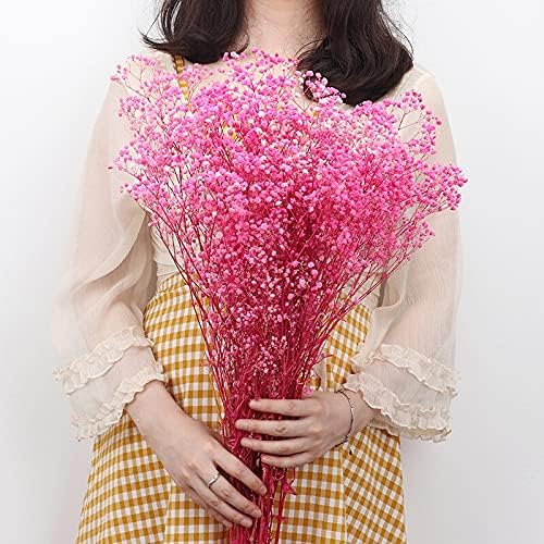 Vue 2 de Yiwoyi Fleurs Sechees Naturelles