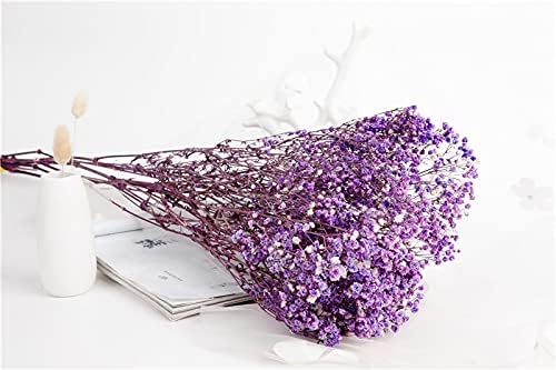 Vue 3 de Yiwoyi Fleurs Sechees Naturelles