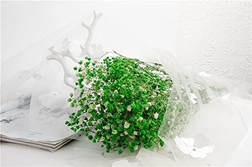 Vue 4 de Yiwoyi Fleurs Sechees Naturelles