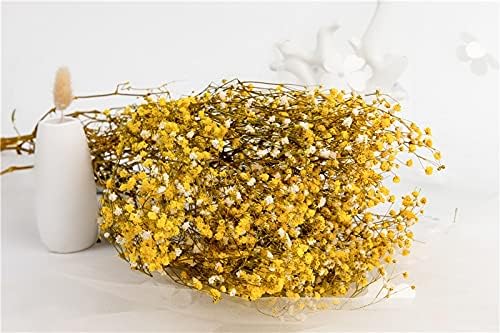 Vue 6 de Yiwoyi Fleurs Sechees Naturelles