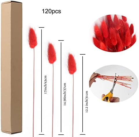 Vue 2 de Huaesin Pcs Fleurs Sechees
