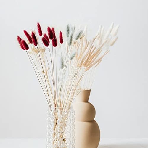 Vue 6 de Huaesin Pcs Fleurs Sechees
