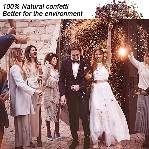 Vue 2 de Dantolo Lot De Paquets