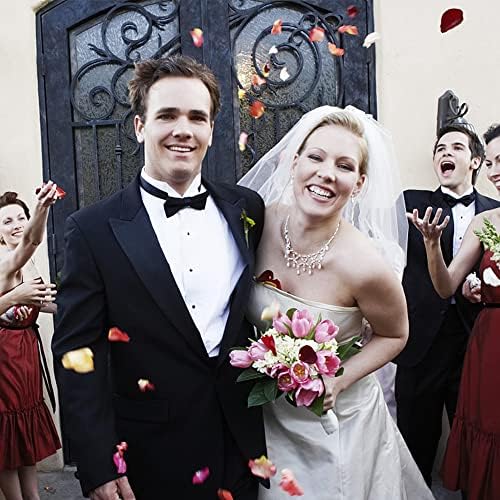 Vue 3 de Dantolo Lot De Paquets