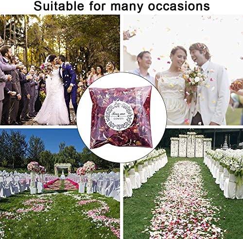 Vue 4 de Dantolo Lot De Paquets