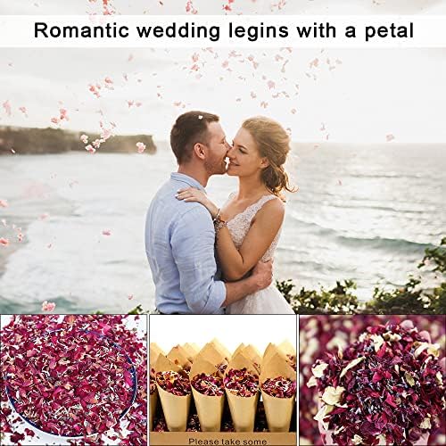 Vue 5 de Dantolo Lot De Paquets