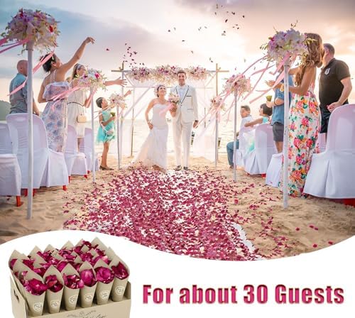 Vue 2 de Mbsomnus Invites Petale