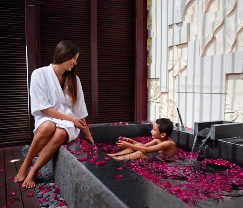 Vue 3 de Mbsomnus Invites Petale