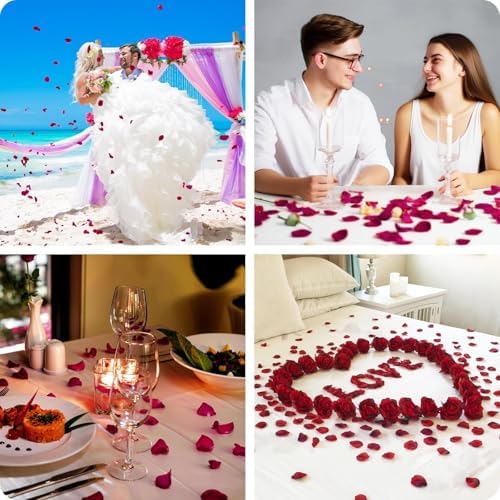 Vue 4 de Mbsomnus Invites Petale