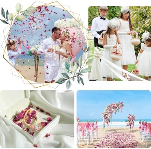 Vue 5 de Mbsomnus Invites Petale