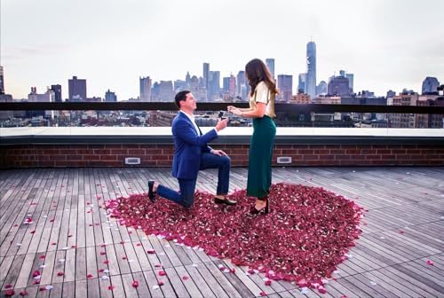 Vue 6 de Mbsomnus Invites Petale