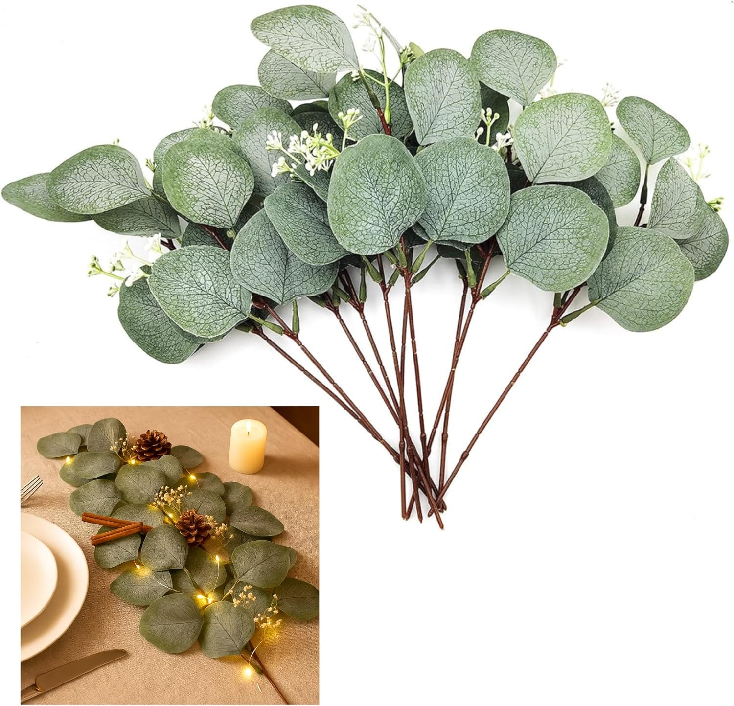 Zwfsdm Branche De Feuilles