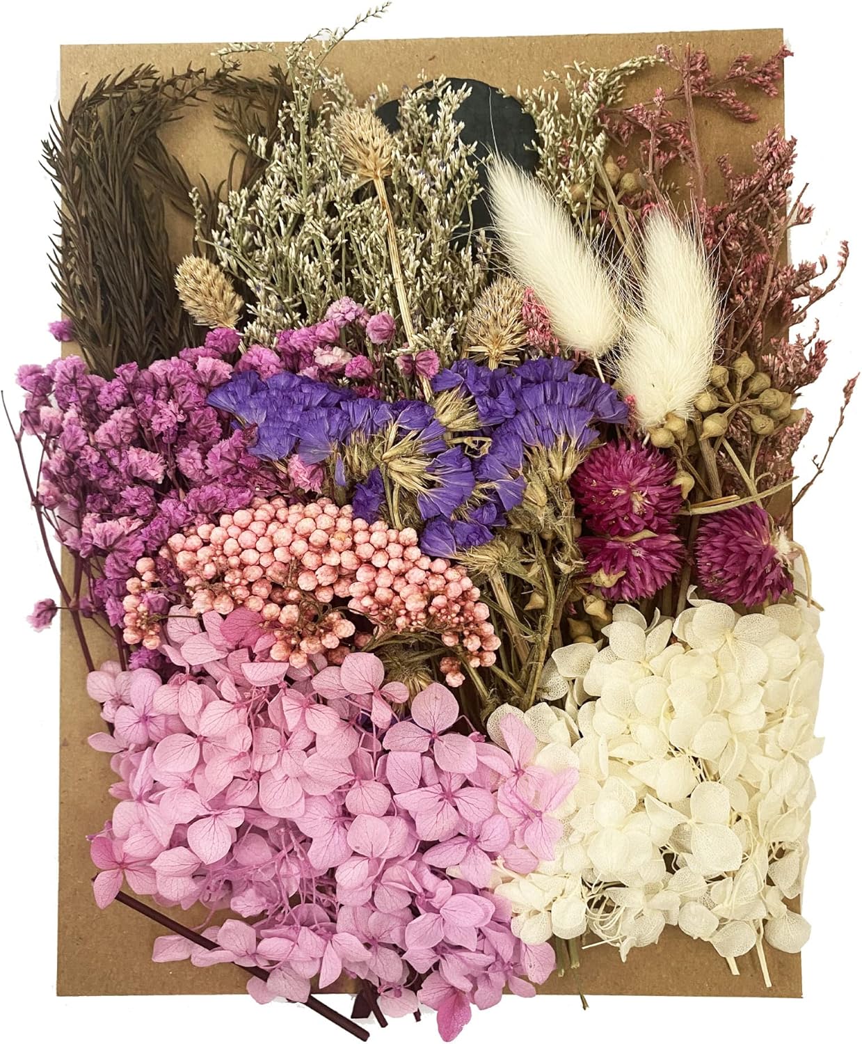 Cayway Fleurs Sechees En