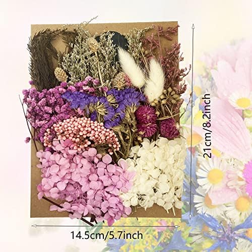 Vue 2 de Cayway Fleurs Sechees En