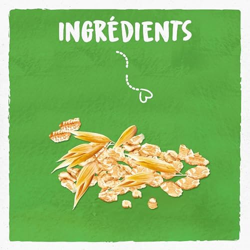 Vue 3 de Bjorg Flocons Davoine Bio