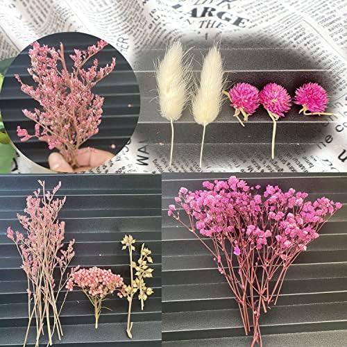 Vue 4 de Cayway Fleurs Sechees En