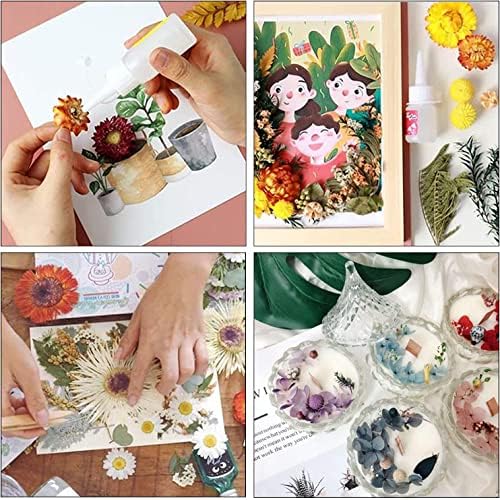 Vue 7 de Cayway Fleurs Sechees En