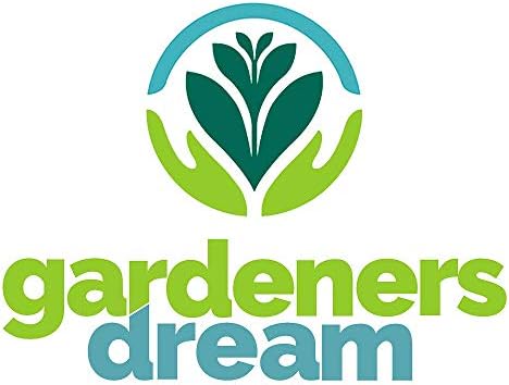 Vue 4 de Anthurium Blanc Langue De