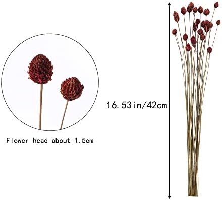 Vue 2 de Huaesin Tiges Fleurs Sechees