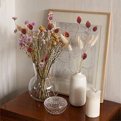 Vue 3 de Huaesin Tiges Fleurs Sechees