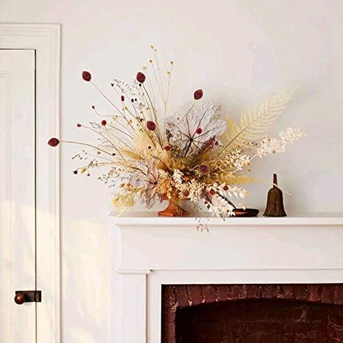 Vue 5 de Huaesin Tiges Fleurs Sechees