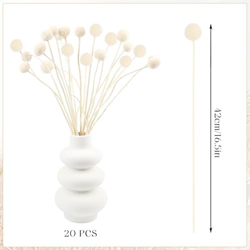 Vue 3 de Songjum Pieces Billy Balls