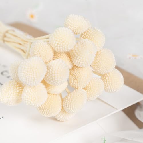 Vue 4 de Songjum Pieces Billy Balls