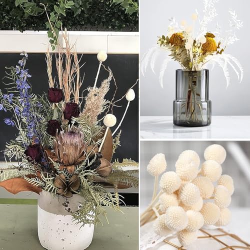 Vue 5 de Songjum Pieces Billy Balls