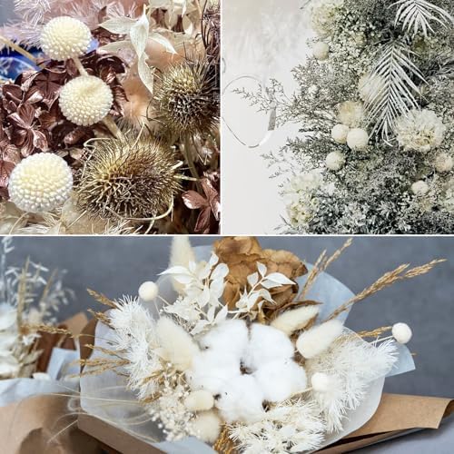 Vue 6 de Songjum Pieces Billy Balls