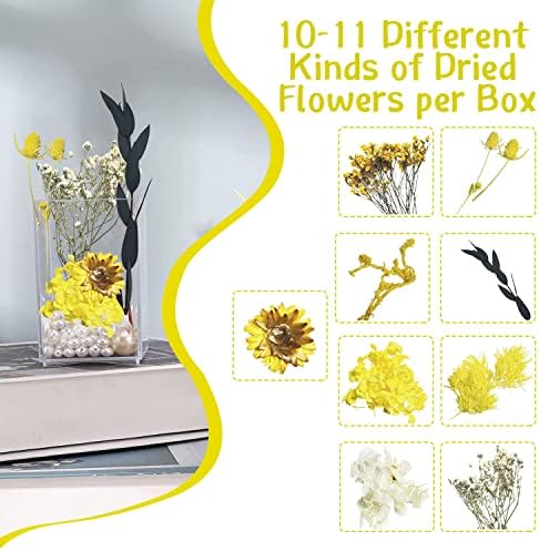 Vue 2 de Fleurs Sechees Fleur Sechees