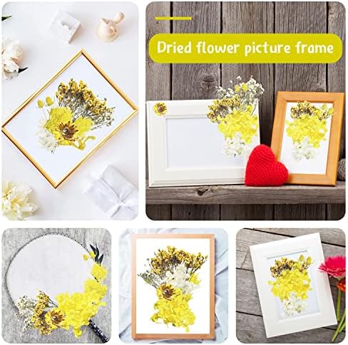 Vue 4 de Fleurs Sechees Fleur Sechees