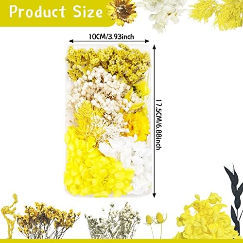 Vue 7 de Fleurs Sechees Fleur Sechees