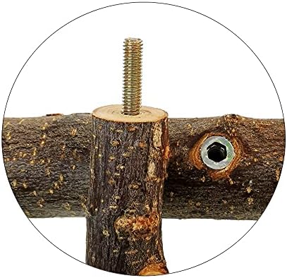 Vue 6 de Perchoir Pour Cage De