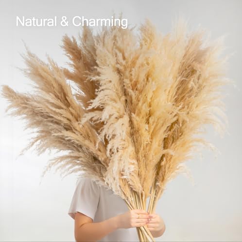 Vue 4 de Paquet De Grandes Herbes