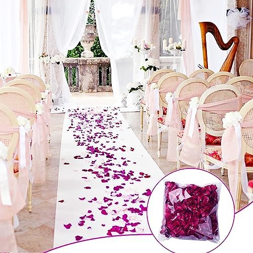 Vue 2 de Hxjdam Gpetales De Roses