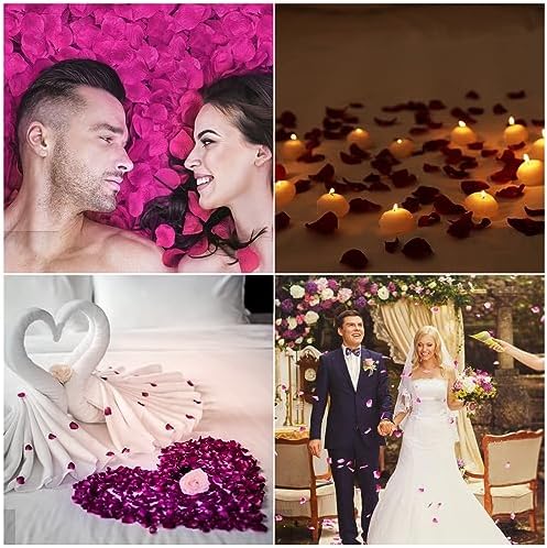 Vue 3 de Hxjdam Gpetales De Roses