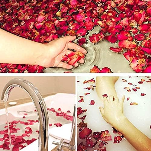 Vue 3 de Reccisokz Gpetales De Rose