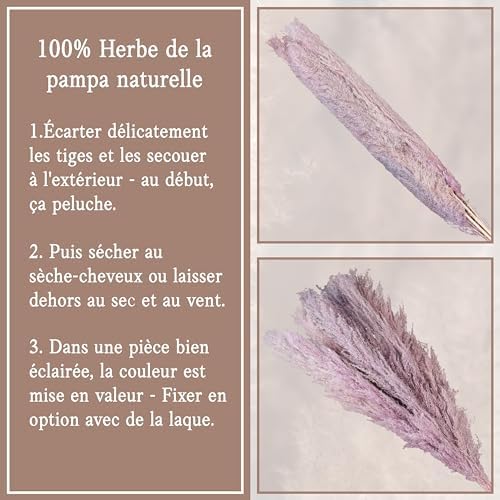 Vue 4 de Leisure Life Herbe