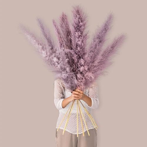 Vue 5 de Leisure Life Herbe