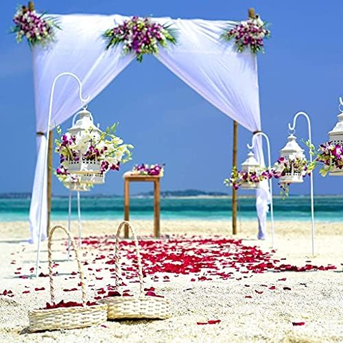 Vue 5 de Reccisokz Gpetales De Rose