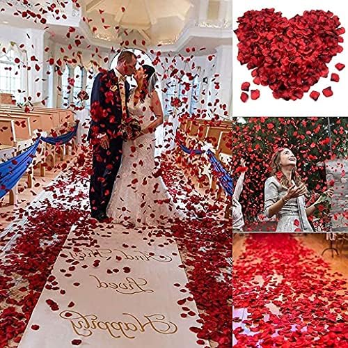 Vue 6 de Reccisokz Gpetales De Rose