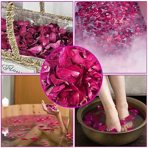 Vue 7 de Hxjdam Gpetales De Roses