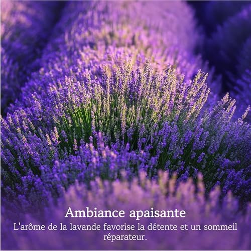 Vue 6 de Lavodia Sachets Parfumes Lavande