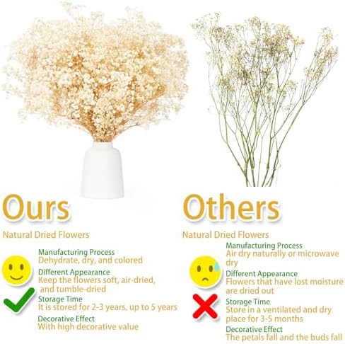 Vue 3 de Gypsophile Seche Fleurs Sechees