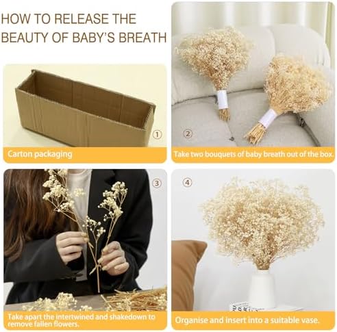 Vue 5 de Gypsophile Seche Fleurs Sechees