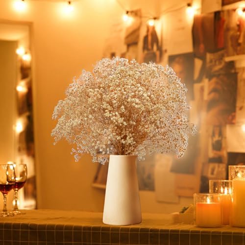 Vue 4 de Gipizi Gypsophile Seche Fleurs