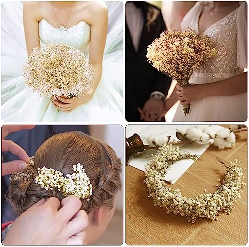 Vue 5 de Gipizi Gypsophile Seche Fleurs