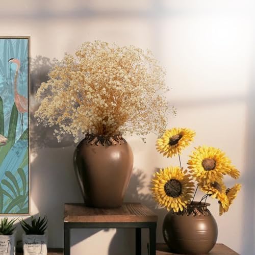 Vue 6 de Gipizi Gypsophile Seche Fleurs