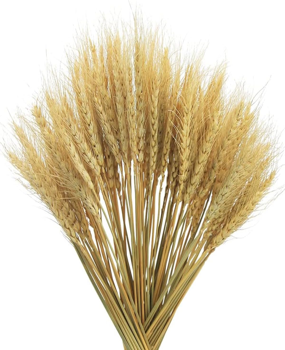 Kgduyc Pieces Decorations Naturelles