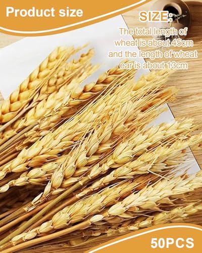 Vue 2 de Kgduyc Pieces Decorations Naturelles